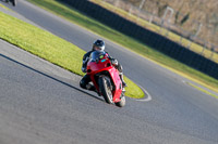 PJM-Wedding-Photography;enduro-digital-images;event-digital-images;eventdigitalimages;mallory-park;mallory-park-photographs;mallory-park-trackday;mallory-park-trackday-photographs;no-limits-trackdays;peter-wileman-photography;racing-digital-images;trackday-digital-images;trackday-photos